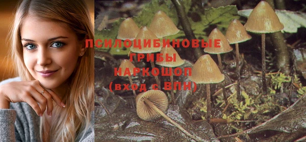 мдпв Пересвет
